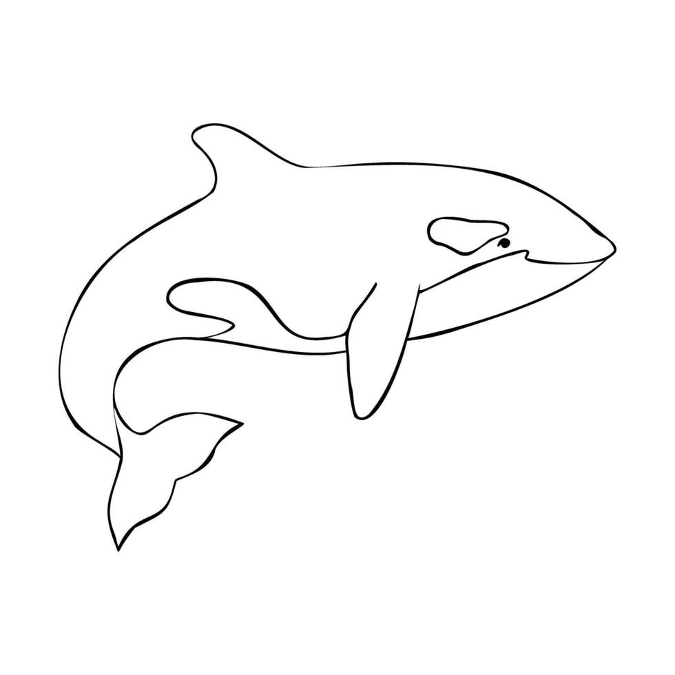 contour of Killer whale or Orcinus orca. Linear Wild inhabitants of the seas and oceans of the Arctic. Hand drawn outline illustration. Undersea mammal animal image in monochrome vector