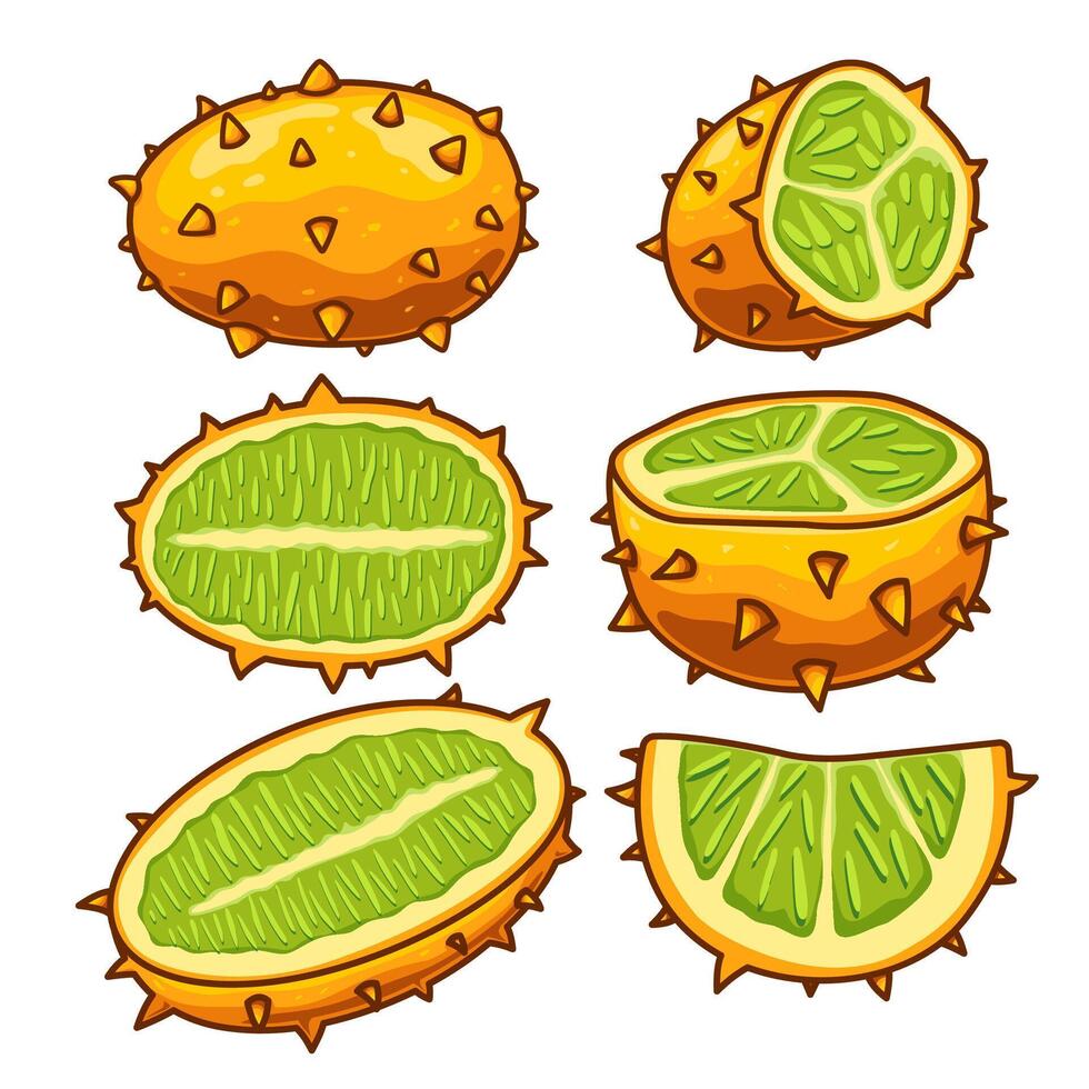 Several horned melons in different positions, along with some cut into various pieces. vector