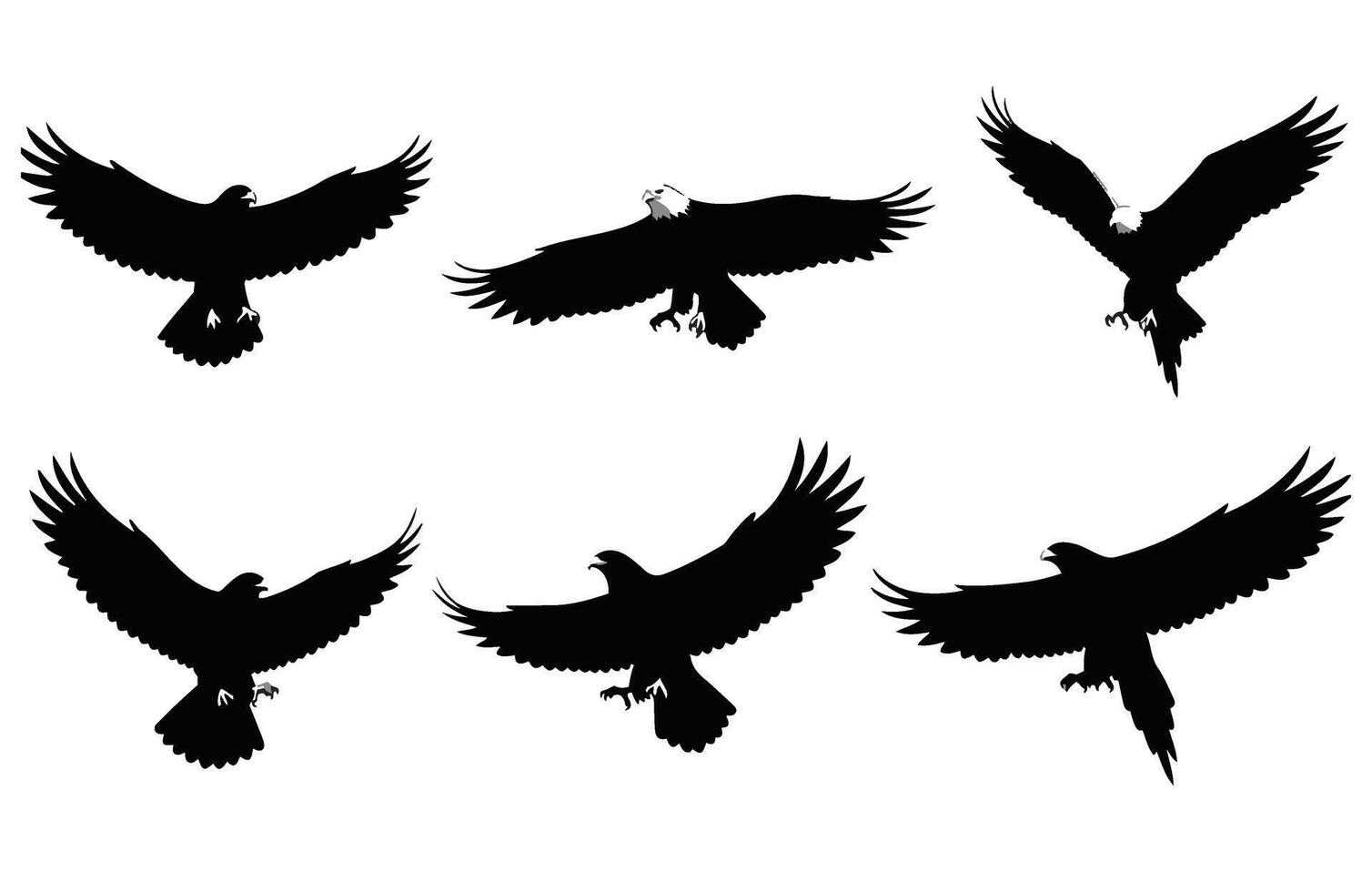 King the Sky An Eagle in Motion vector