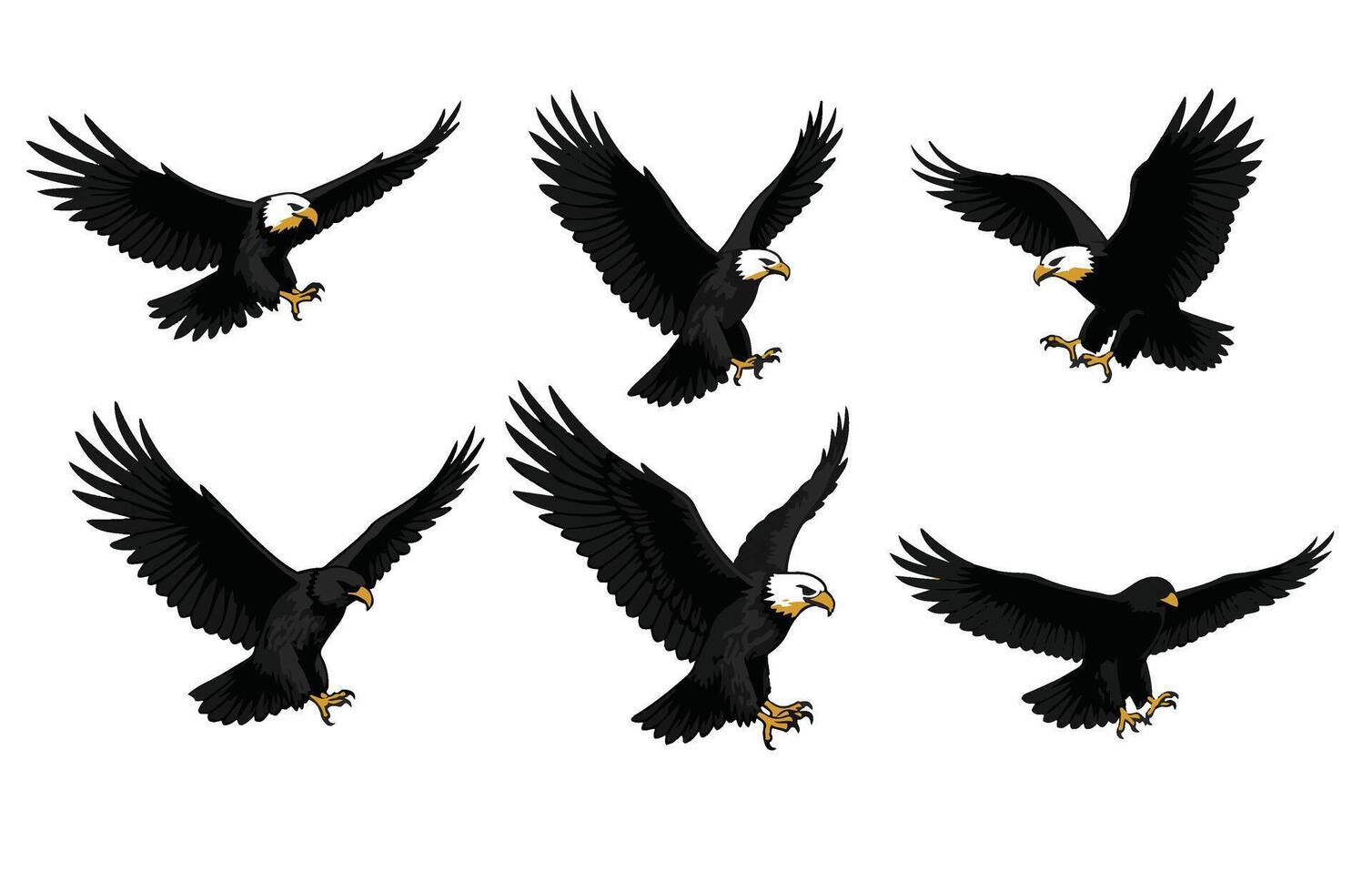 The Perfect Flight of a Wild Eagle vector