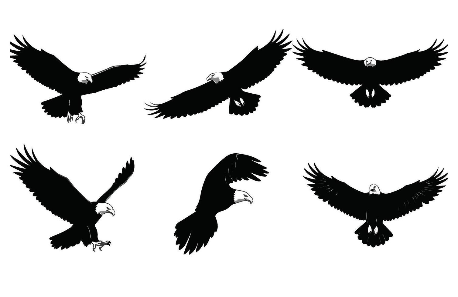 Brave Eagle Diving Down to Catch Prey vector