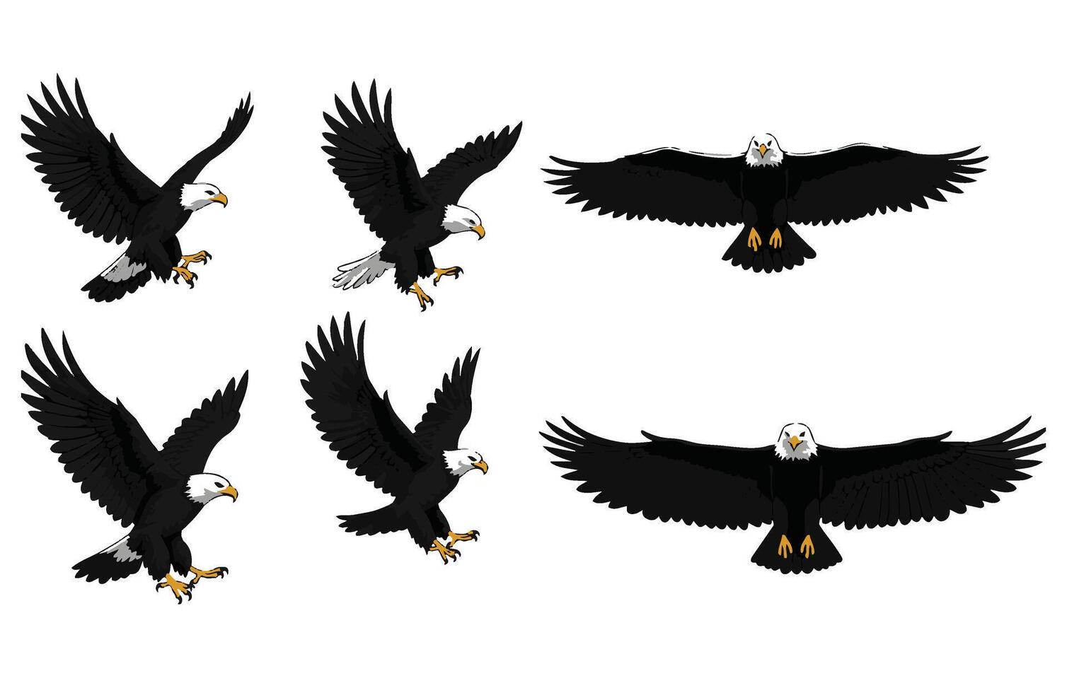 Fierce Predator An Eagle Attacking from Above vector