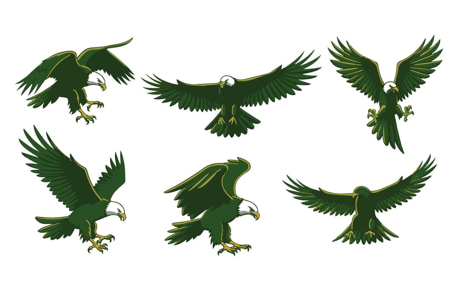 Bold Eagle Hunting in a Natural Habitat vector
