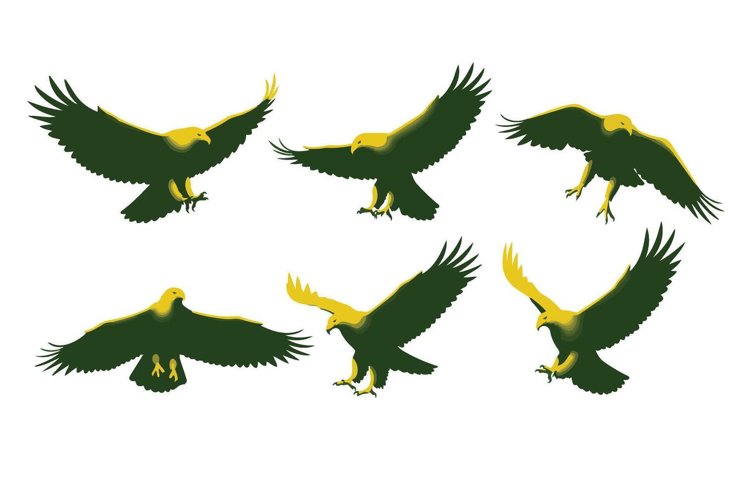 Predatory Eagle in a Stunning Flight Pose vector