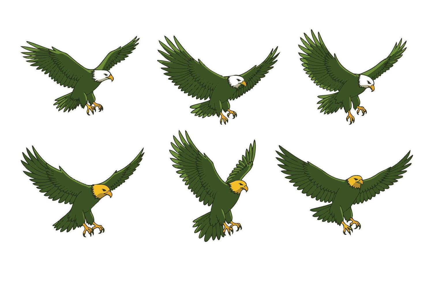 Supreme Aerial Predator with Sharp Talons vector