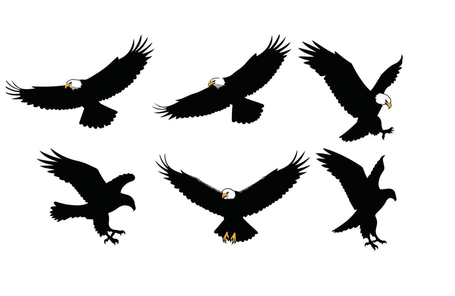 Dynamic Eagle in Flight with Strong Wings vector