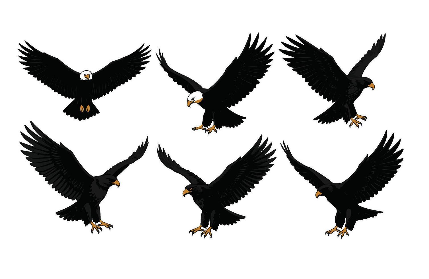 Stunning Eagle in Mid-Air with Open Wings vector