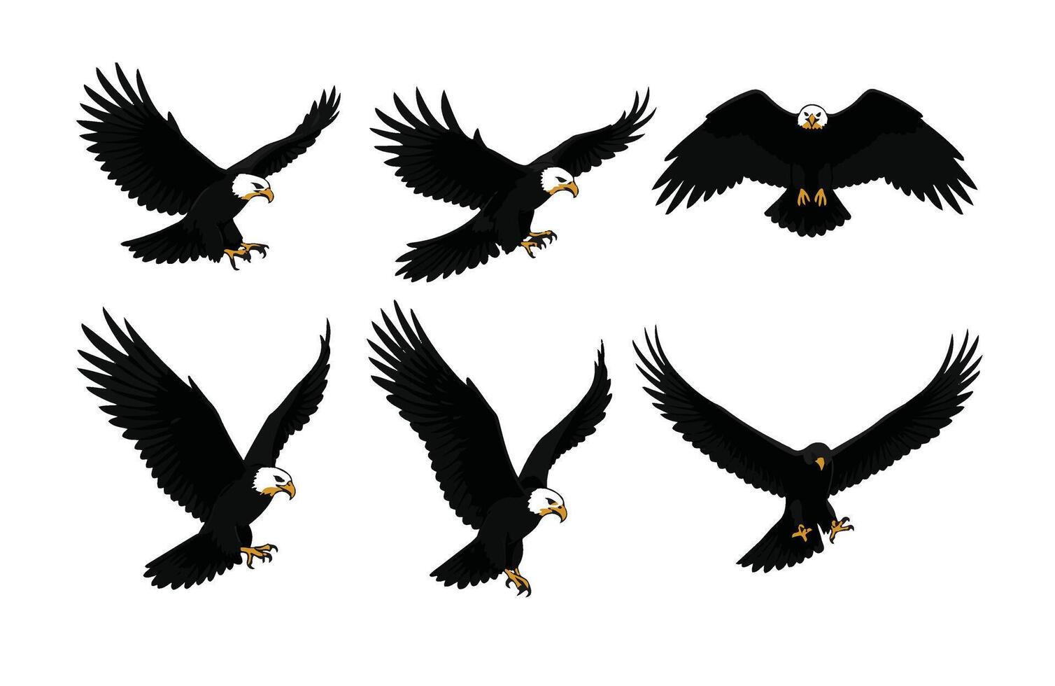 Bald Eagle Soaring Gracefully in the Sky vector