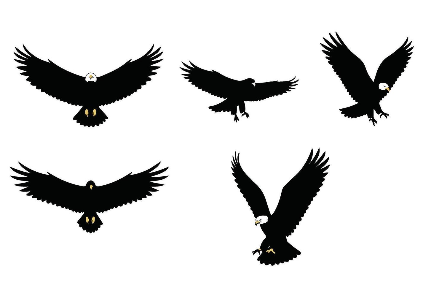 Fierce Eagle Ready to Catch Its Prey vector