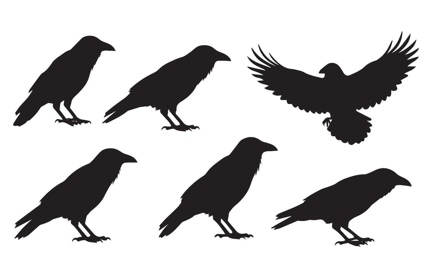 Majestic Crow Silhouette Set for Bird Enthusiasts vector