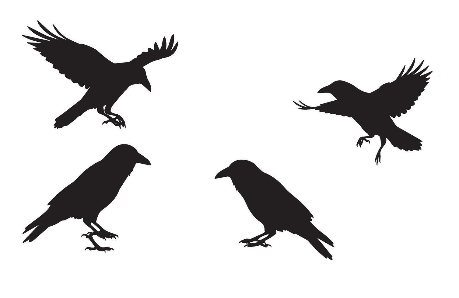 Edgy Crow Silhouette Set for Bold Graphics vector