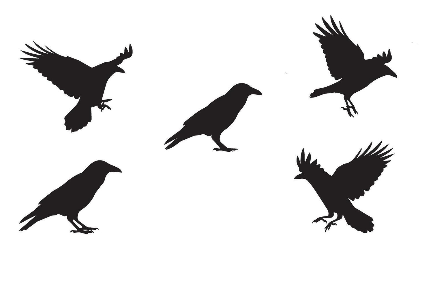 Modern Crow Silhouette Set for Trendy Graphics vector