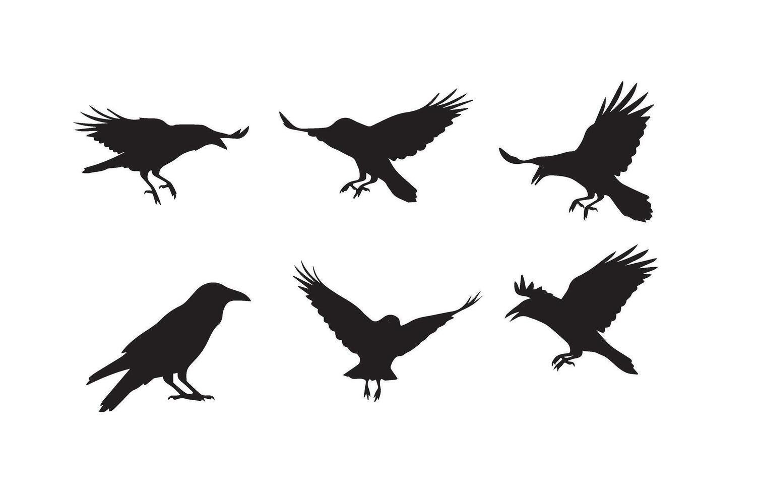 Realistic Crow Silhouette Set for Illustrations vector