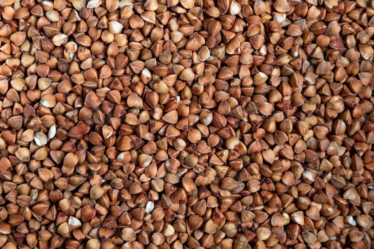 Close-Up View of Buckwheat Groats - Ideal for Nutrition Articles, Culinary Blogs, and Health-Related Marketing Materials photo