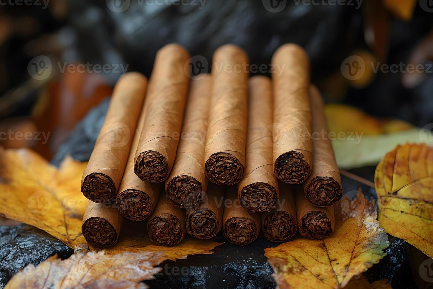 Stacked Cigars on Autumn Leaves for Seasonal Conceptual Background Design photo