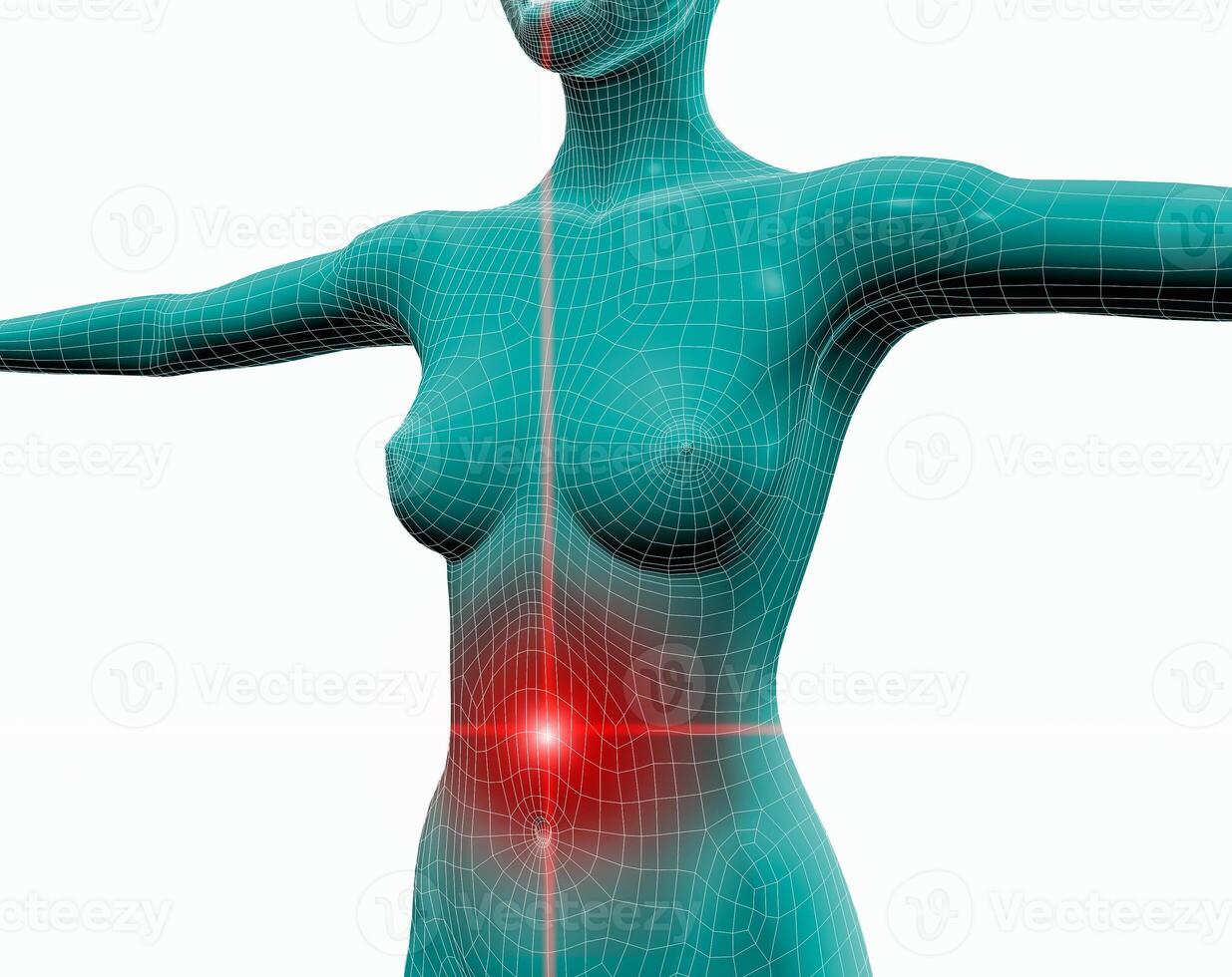 Frontal 3d image of torso of a woman with pain in her stomach photo
