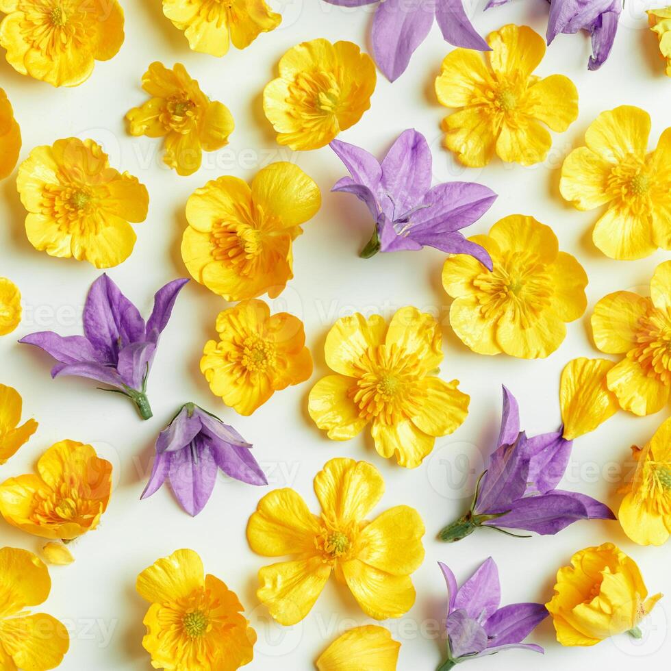 Top view pattern of natural wild flowers on white, floral blossom background, close up detail, minimal flat lay. Beautiful nature tender meadow and forest flowers, summer flowery concept photo