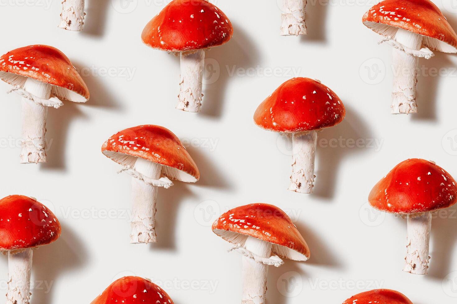 Red mushrooms as minimal pattern on light background, natural textures ad organic beauty, vivid fly agaric with bright red caps and white stems, Creative flat lay still life photo