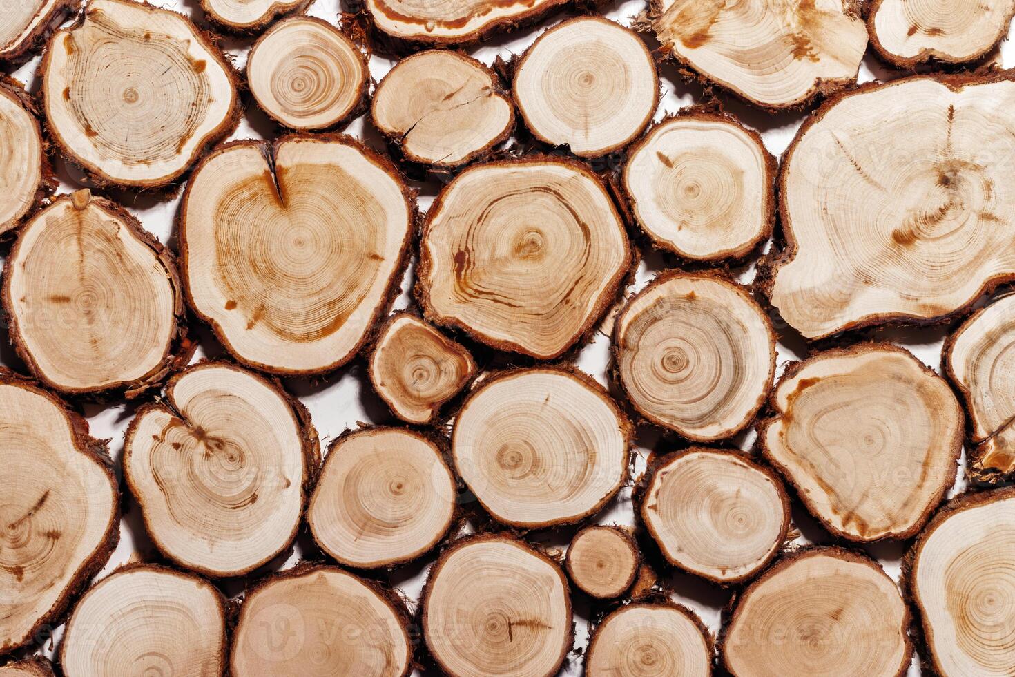 Wooden tree trunk slices pattern, view of many round cuts of wooden texture with natural tree rings of juniper, eco textures earthy tones, circular growth patterns and organic beauty of materials photo