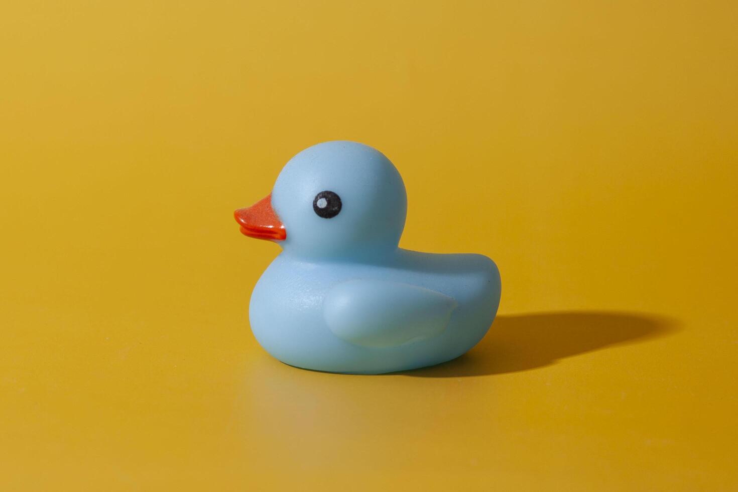 Blue rubber duck toy side view photo