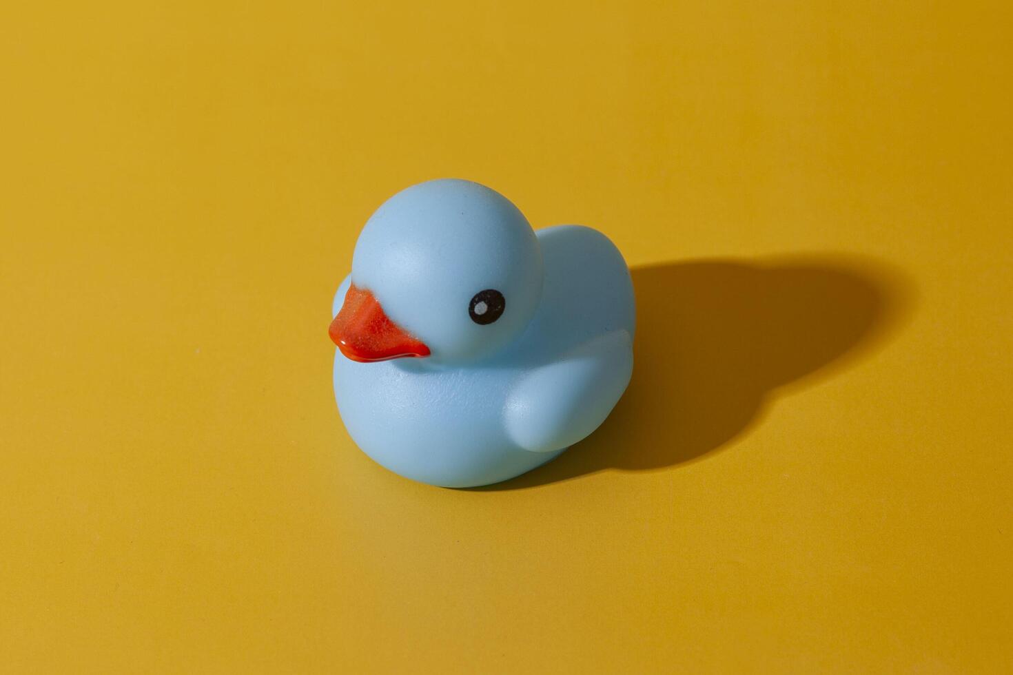 Blue rubber duck toy from above photo