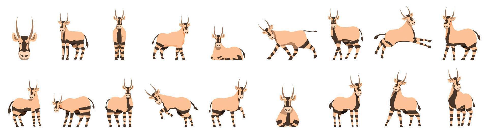 Arabian oryx icons set. Set of oryx gazella in different poses, isolated on white background vector