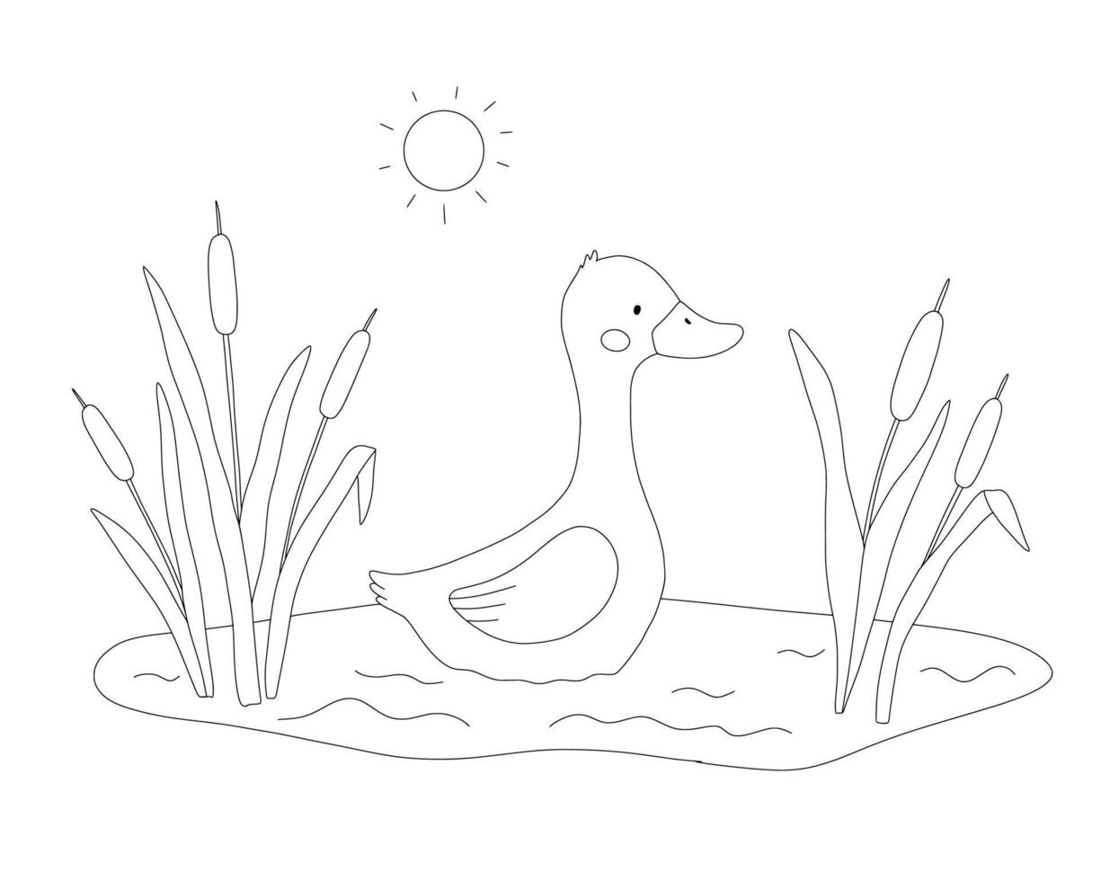 Cute goose character, floating duck, line art, hand drawn illustration for coloring book or page. Pond or swamp vector