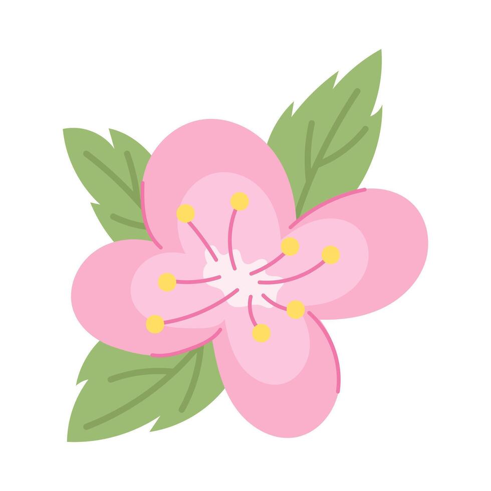 Pink sakura flower with three leaves. illustration. vector