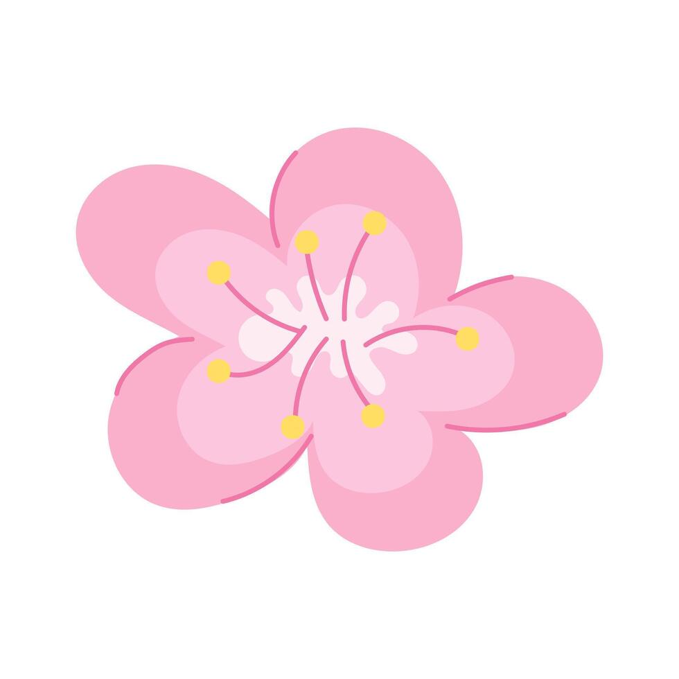 Spring sakura flower. illustration. vector