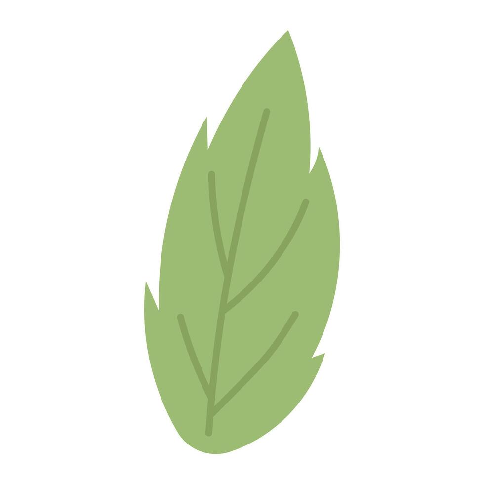 Spring leaf. Green leaf. illustration vector