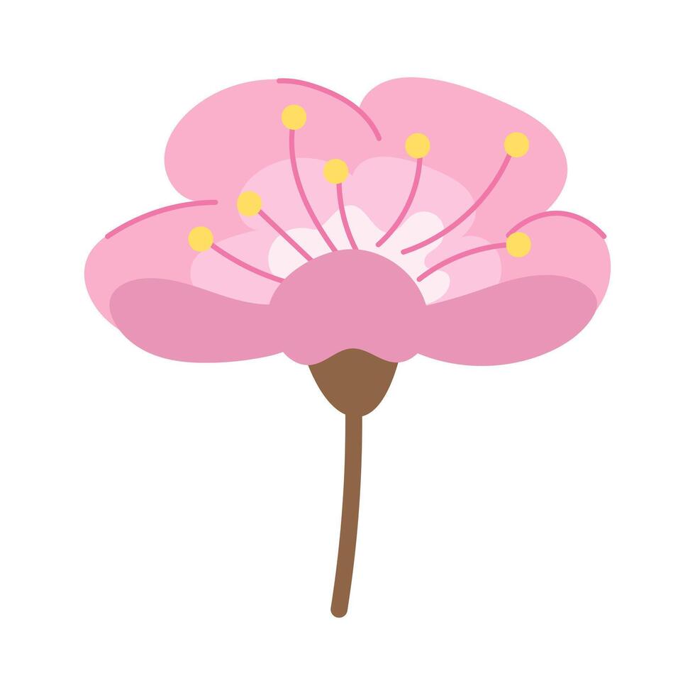 Pink sakura flower on a white background. Vectori llustration vector