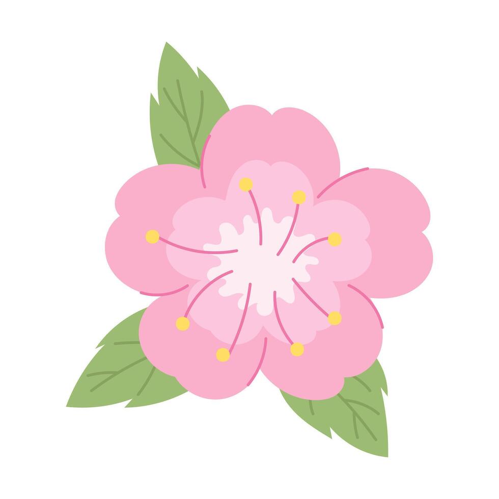 Sakura flower with three leaves. illustration. vector