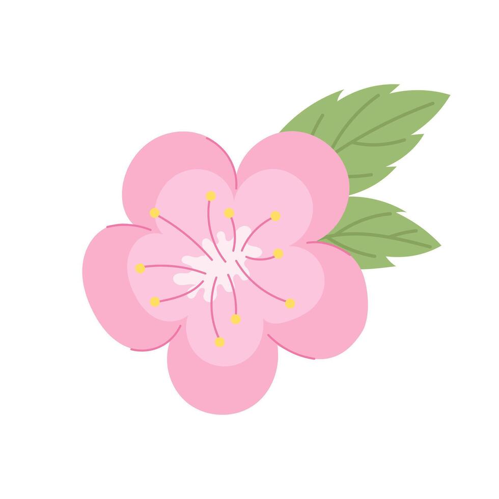 Pink sakura flower with leaves. illustration. vector