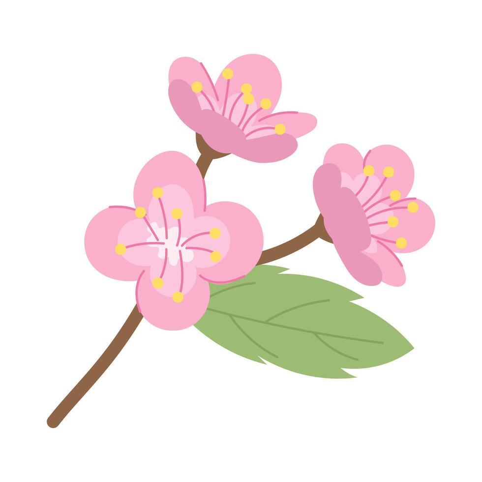 Blossoming branch of sakura. Blossom of trees. illustration vector