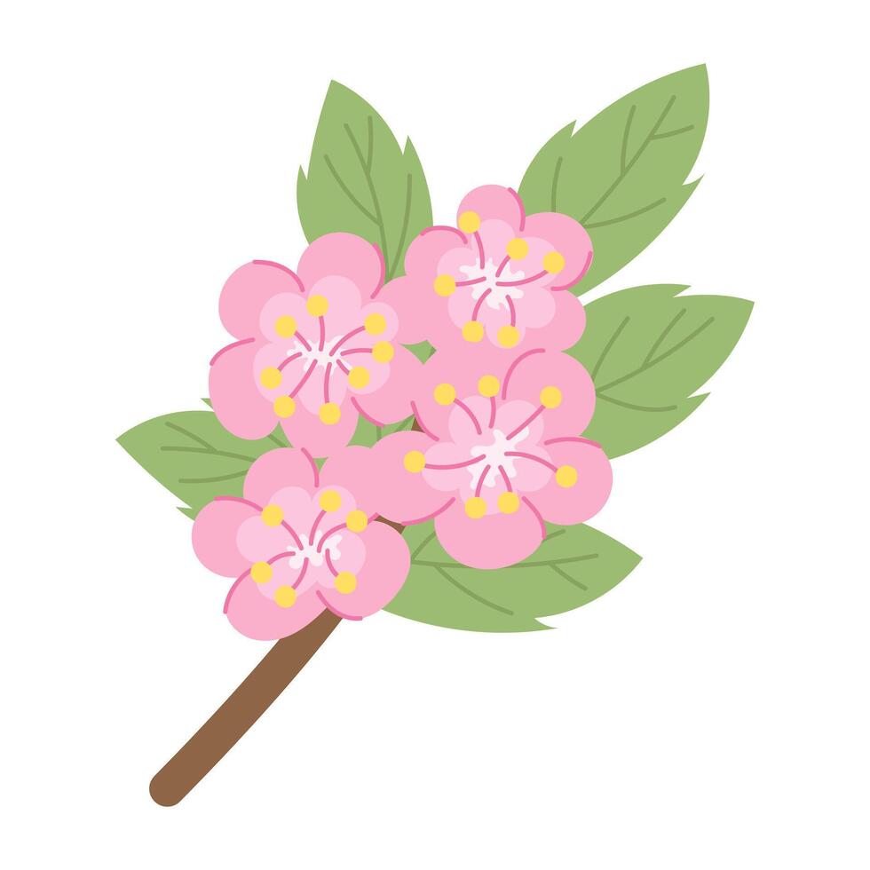 Branch with pink flowers vector