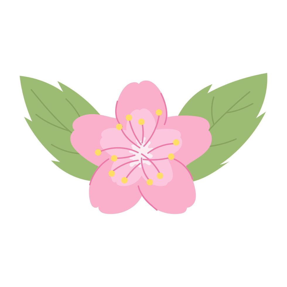 Sakura flower. Pink flower. illustration. vector