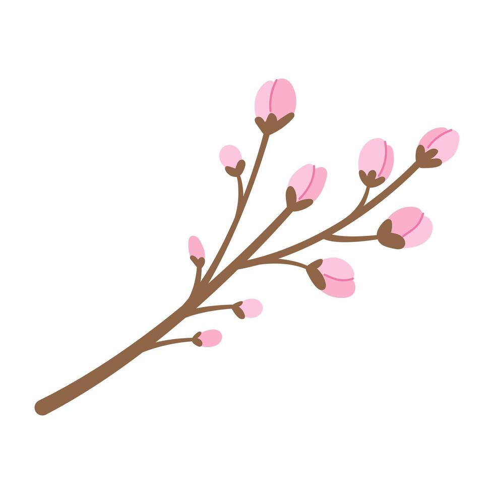 Sakura branch with unopened buds. illustration. vector