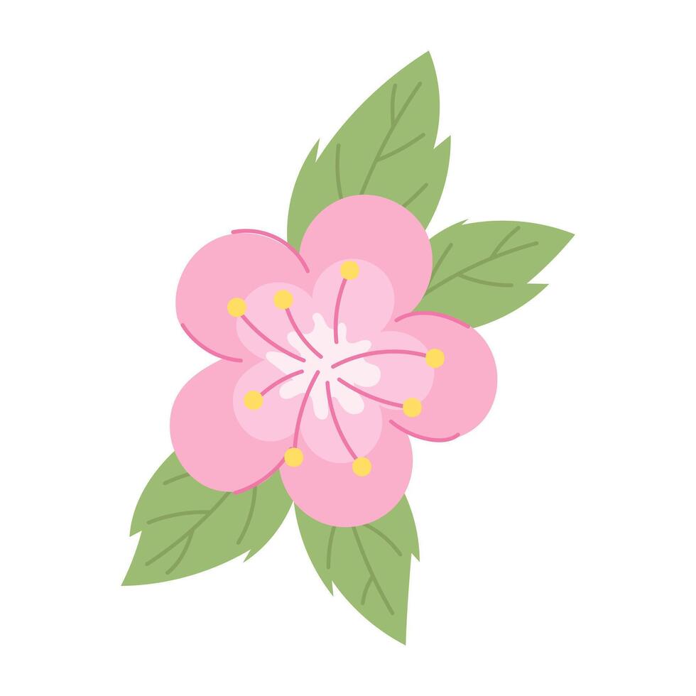 Sakura flower with leaves. illustration. vector