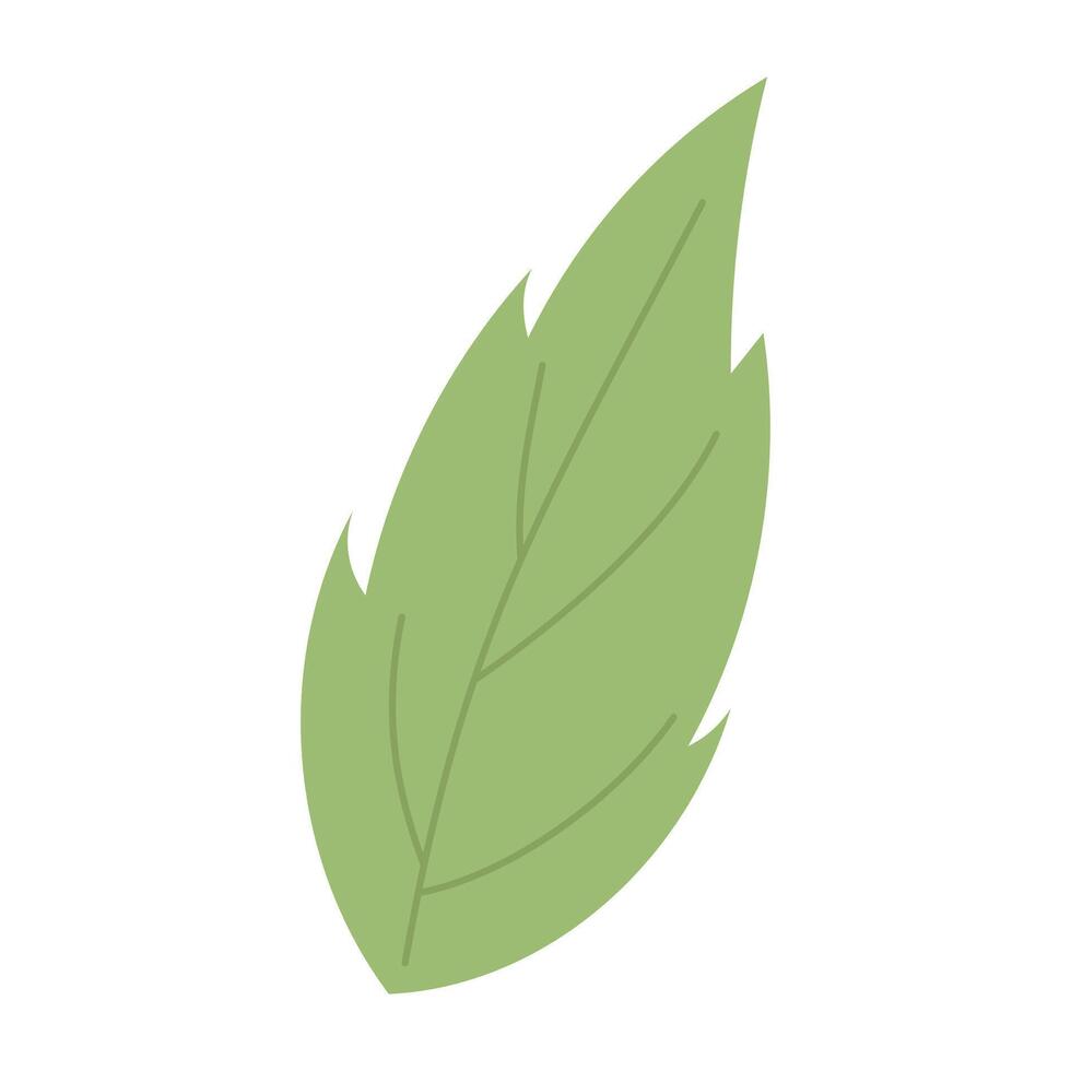 Green leaf. Spring leaf. illustration vector