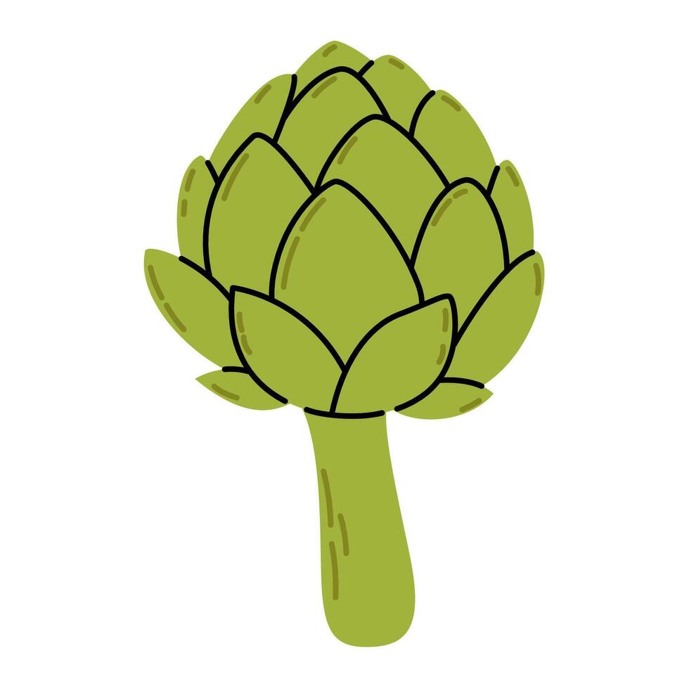 Hand drawn artichoke vegetable. Green artichoke bud in simple doodle style vector