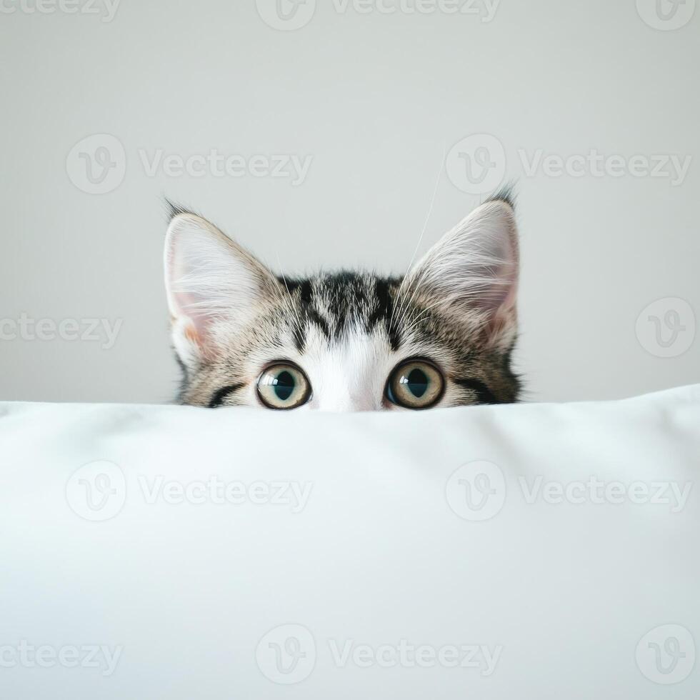 Curious kitten peeking over a fluffy pillow photo