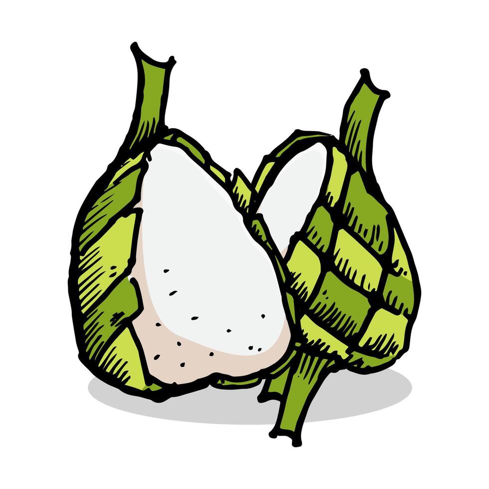 Illustration hand drawing of split ketupat food, illustration of traditional Eid al-Fitr food. Eid food composition. Ramadan food design outline. Happy family on Eid Fitr vector