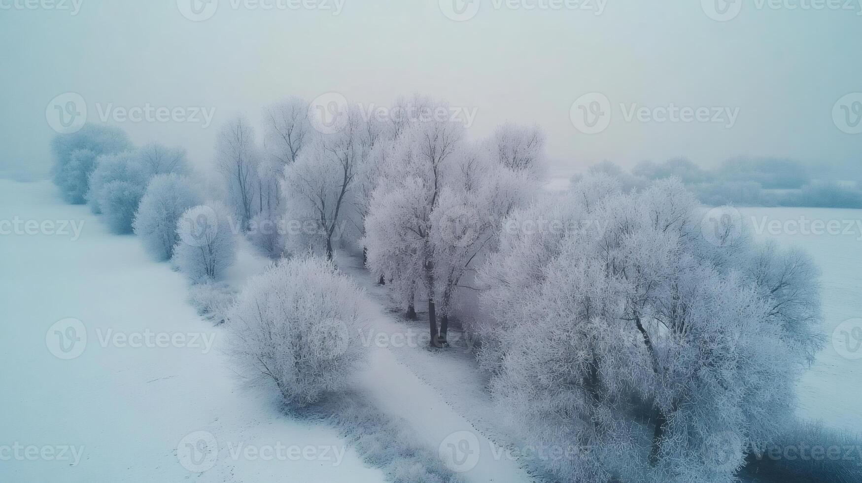 Snowy path winding through frozen trees in winter wonderland photo