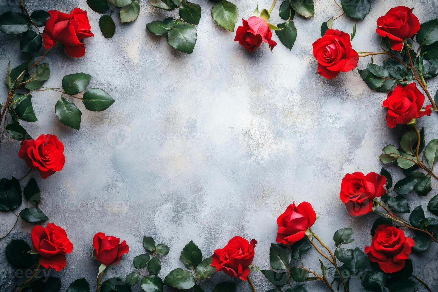 Red roses forming a frame on a gray background.. photo