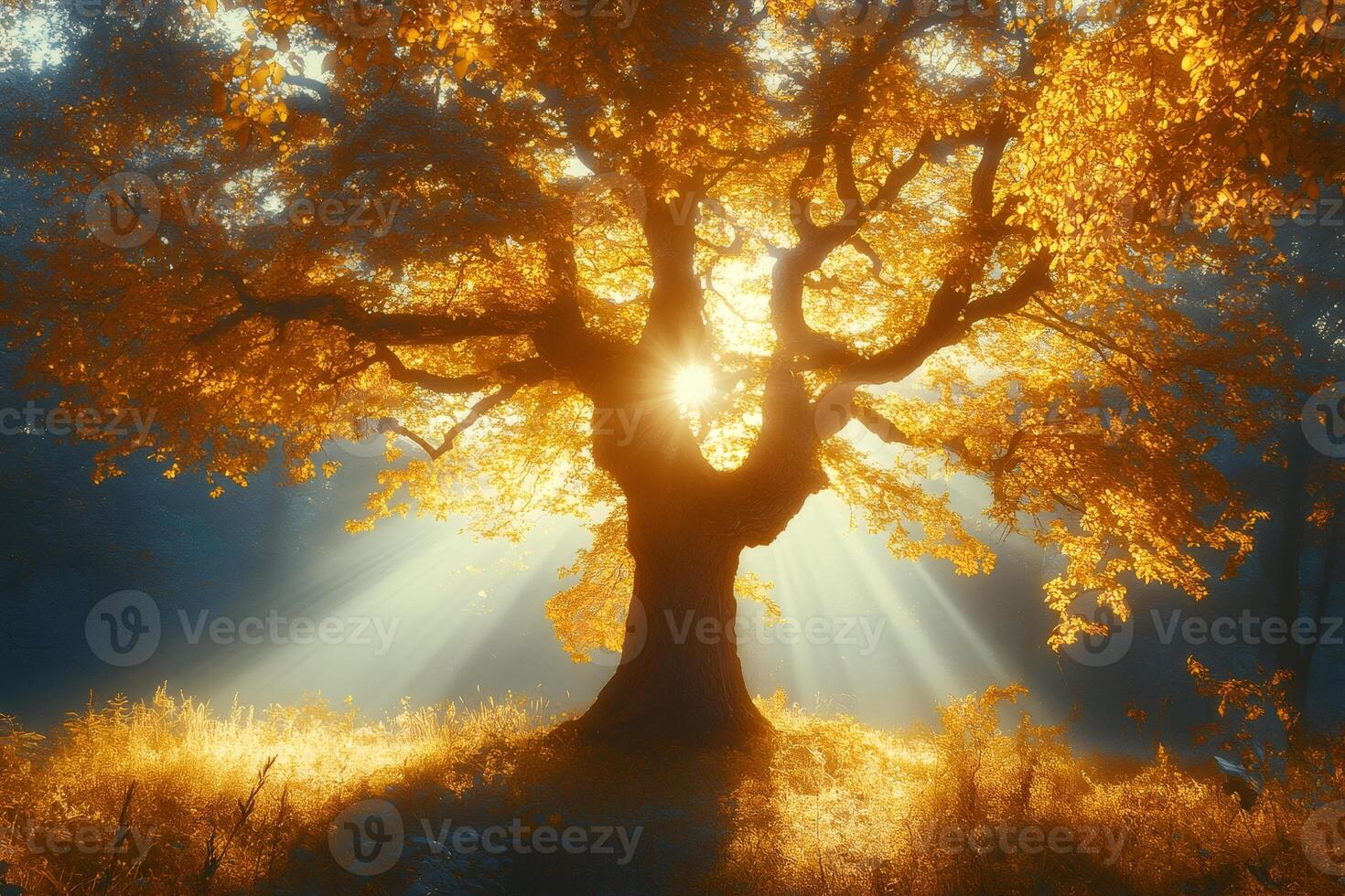 Majestic golden tree with sunbeams shining through branches in autumn photo