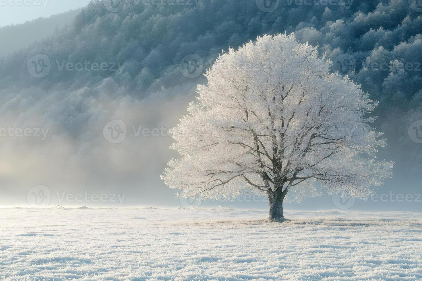 Frozen tree standing alone in a snowy field with misty forest in background photo
