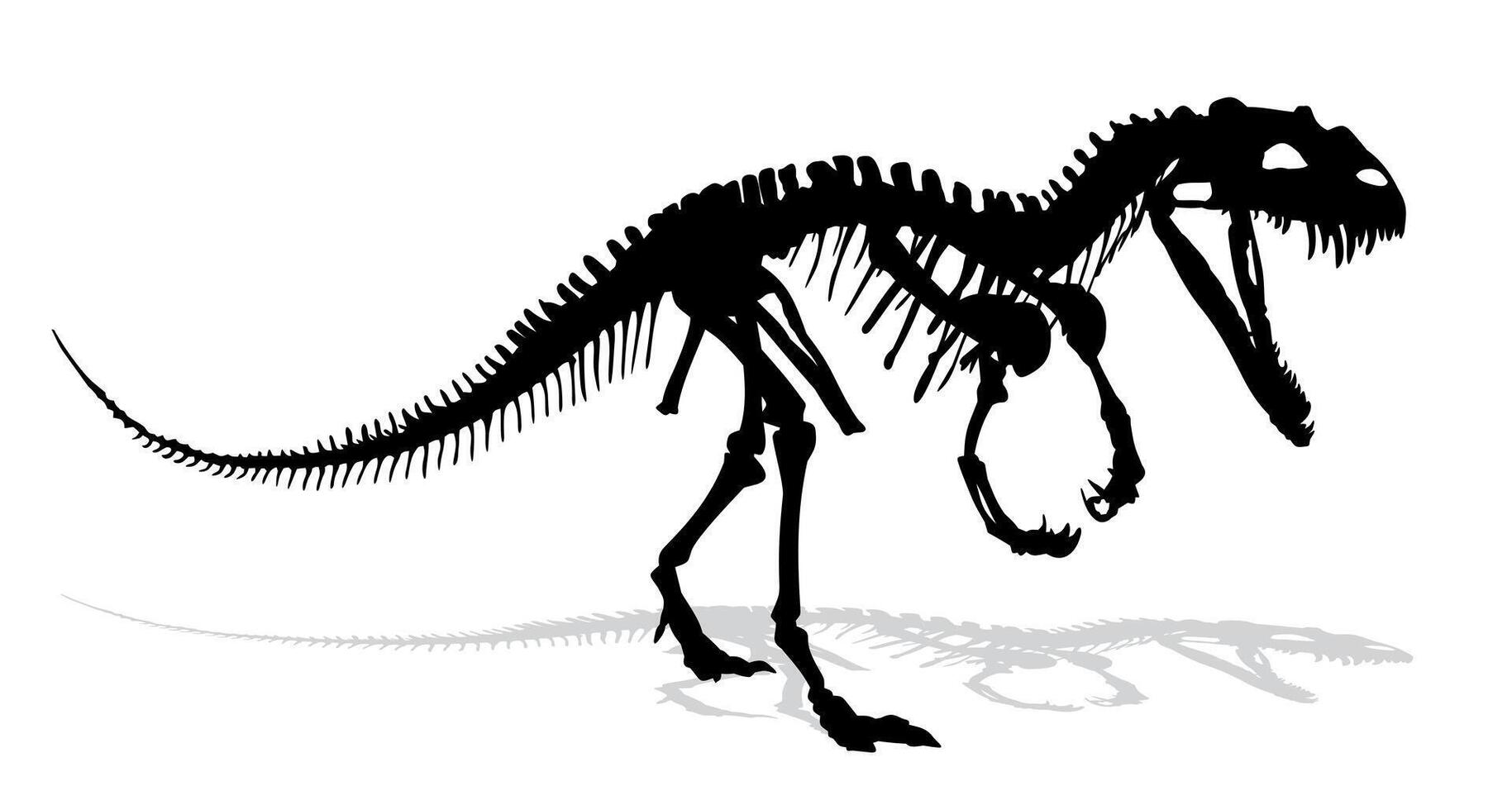 Big Dinosaur skeleton. vector