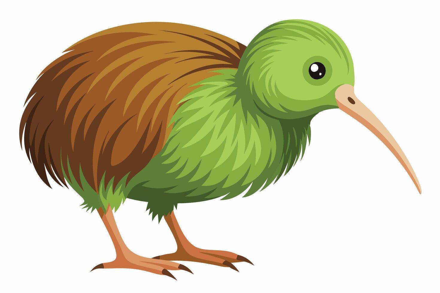 Featherless Wonder The Kiwi Bird vector