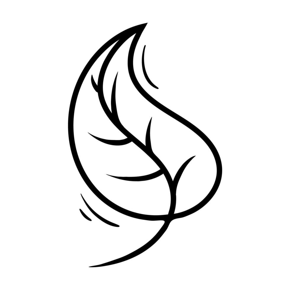 Black line art illustration of a leaf. white background vector