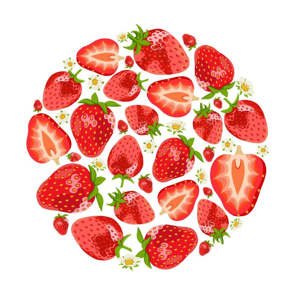 Sweet Realistic Strawberry Round Design Element vector
